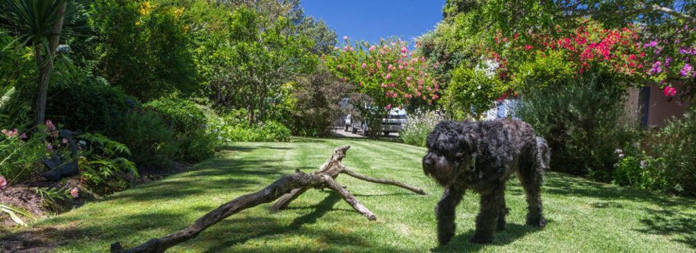 Cornerway House Hotel Plettenberg Bay Exterior photo